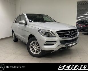 Mercedes-Benz ML 250 Gebrauchtwagen