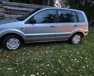 Ford Fusion Gebrauchtwagen