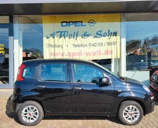Fiat Panda Gebrauchtwagen