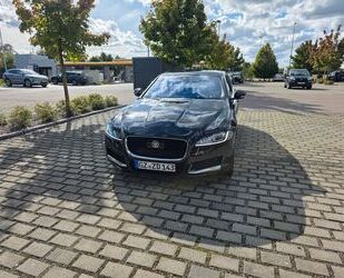 Jaguar XF Gebrauchtwagen