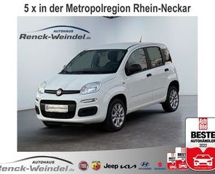 Fiat Panda Gebrauchtwagen