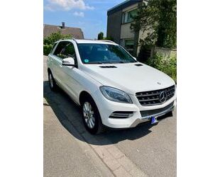 Mercedes-Benz ML 250 Gebrauchtwagen