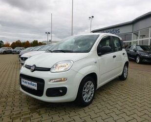 Fiat Panda Gebrauchtwagen