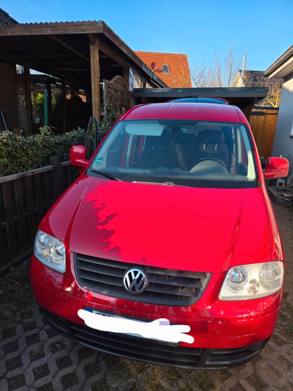 Bild 1