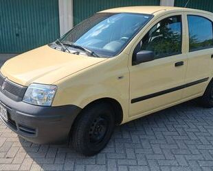 Fiat Panda Gebrauchtwagen