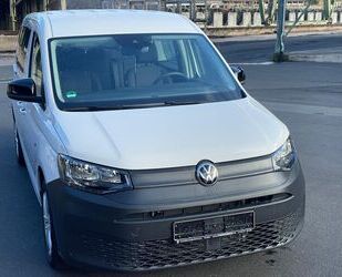 VW Caddy Maxi Gebrauchtwagen