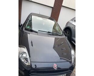 Fiat Punto Gebrauchtwagen