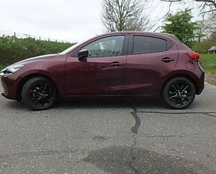 Mazda 2 Gebrauchtwagen