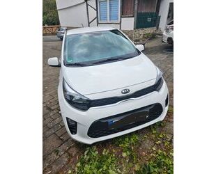 Kia Picanto Gebrauchtwagen