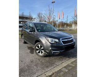 Subaru Forester Gebrauchtwagen