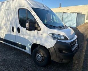 Fiat Ducato Gebrauchtwagen