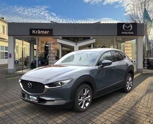 Mazda CX-30 Gebrauchtwagen