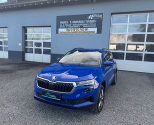 Skoda Karoq Gebrauchtwagen