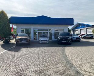 Ford Edge Gebrauchtwagen