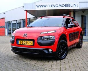 Citroen C4 Cactus Gebrauchtwagen