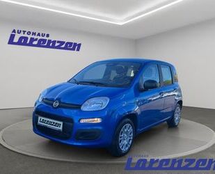 Fiat Panda Gebrauchtwagen