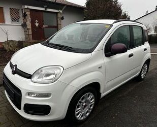 Fiat New Panda Gebrauchtwagen