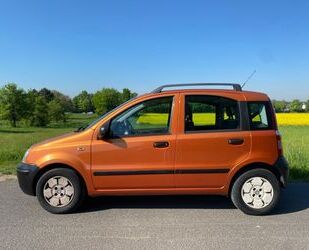 Fiat Panda Gebrauchtwagen