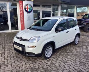 Fiat Panda Gebrauchtwagen