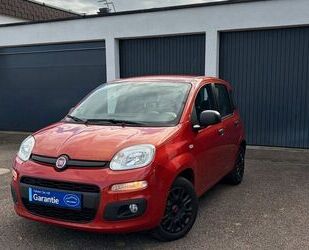 Fiat Panda Gebrauchtwagen