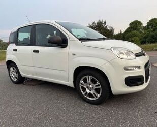 Fiat New Panda Gebrauchtwagen