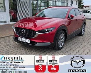 Mazda CX-30 Gebrauchtwagen