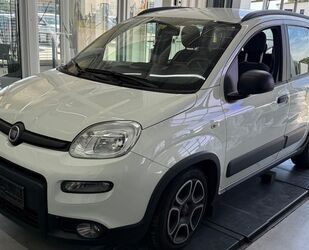 Fiat Panda Gebrauchtwagen