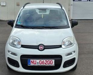 Fiat Panda Gebrauchtwagen