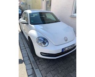 VW Beetle Gebrauchtwagen