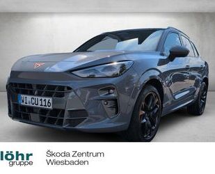 Cupra Terramar Gebrauchtwagen