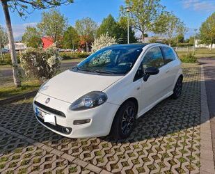 Fiat Punto Gebrauchtwagen