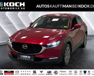 Mazda CX-30 Gebrauchtwagen