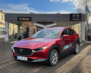 Mazda CX-30 Gebrauchtwagen
