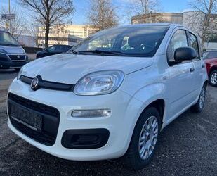 Fiat Panda Gebrauchtwagen