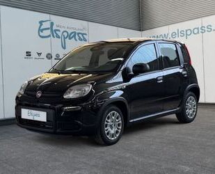 Fiat Panda Gebrauchtwagen