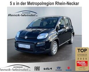 Fiat New Panda Gebrauchtwagen
