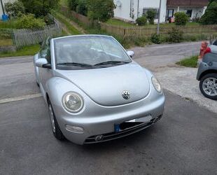 VW Beetle Gebrauchtwagen