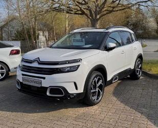 Citroen C5 Aircross Gebrauchtwagen