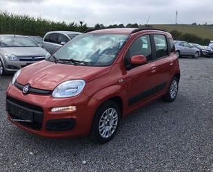 Fiat New Panda Gebrauchtwagen