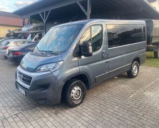 Fiat Ducato Gebrauchtwagen