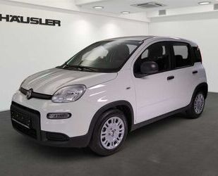 Fiat Panda Gebrauchtwagen