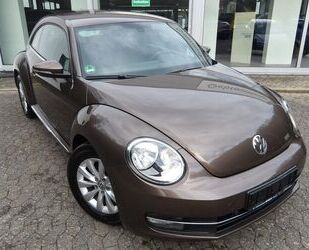 VW Beetle Gebrauchtwagen