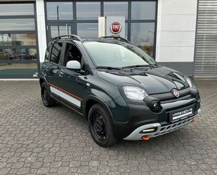 Fiat Panda Gebrauchtwagen