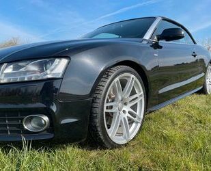Audi Cabriolet Gebrauchtwagen