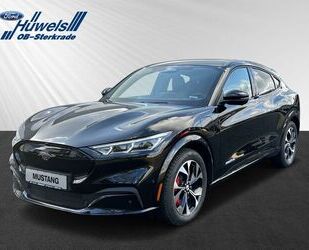 Ford Mustang Mach-E Gebrauchtwagen