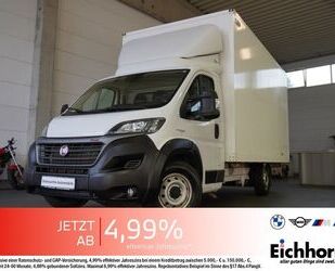 Fiat Ducato Gebrauchtwagen