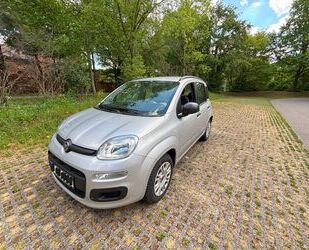 Fiat New Panda Gebrauchtwagen