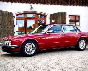 Jaguar XJ40 Gebrauchtwagen