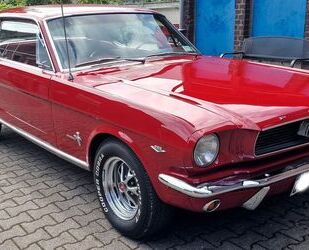 Ford Mustang Gebrauchtwagen