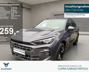 Cupra Terramar Gebrauchtwagen